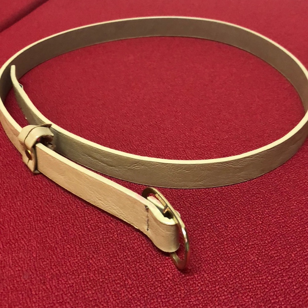 Nude with gold detail skinny belt